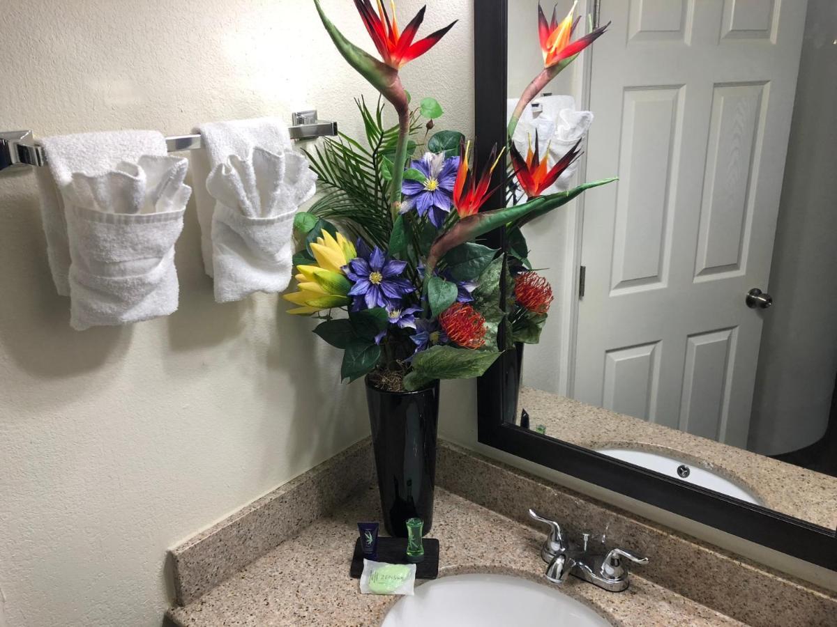 Econo Lodge Choice Hotels I 95 Savannah Gateway 24 Hour Fitness Center On Site Guest Laundry On Site Perkins Restaurant Georgetown Zewnętrze zdjęcie